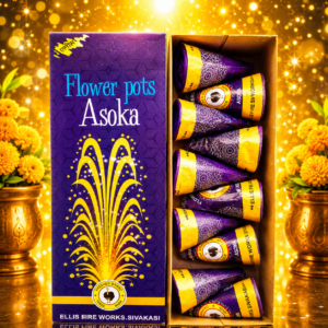 Flower Pot Asoka/பூச்சட்டி அசோகா(10Pcs)